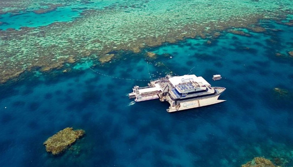 Crociera Quicksilver sulla Grande Barriera Corallina esterna dal porto turistico di Port Douglas - Foto 1