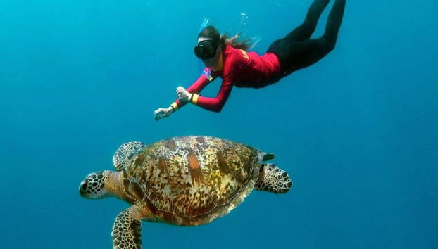 Crociera Quicksilver sulla Grande Barriera Corallina esterna dal porto turistico di Port Douglas - Foto 4