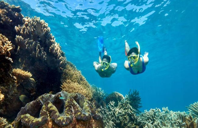Crociera Quicksilver sulla Grande Barriera Corallina esterna dal porto turistico di Port Douglas - Foto 3