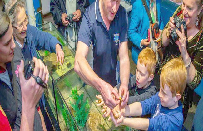 Visita guiada a Seahorse World - Foto 8
