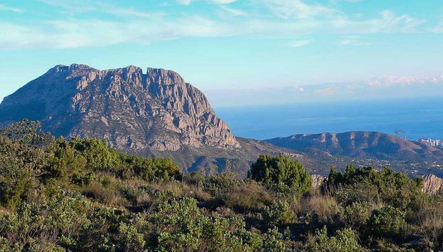 Caminata guiada por la Costa Blanca - Foto 3