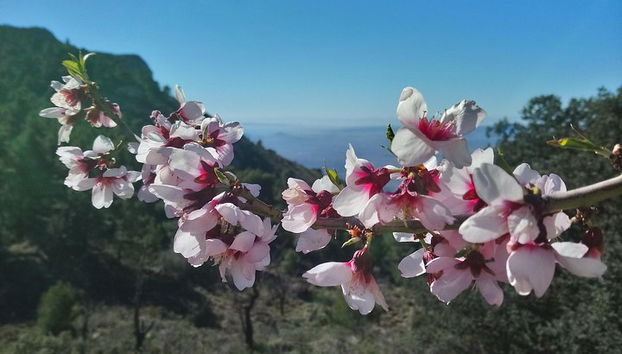 Caminata guiada por la Costa Blanca - Foto 4