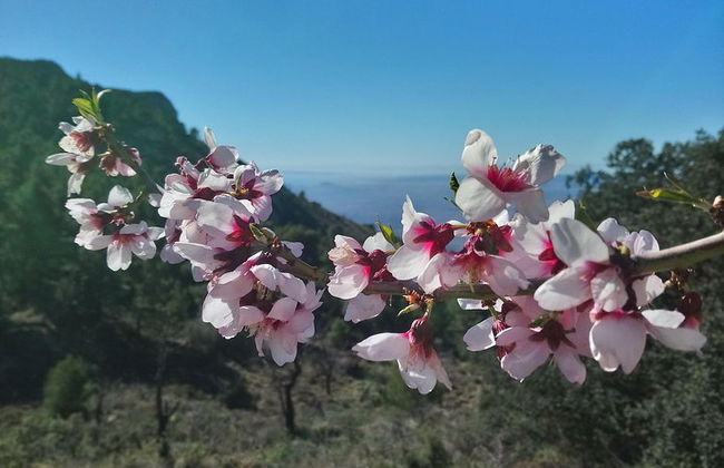 Caminata guiada por la Costa Blanca - Foto 4