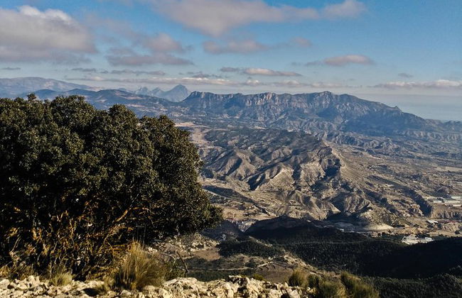 Caminata guiada por la Costa Blanca - Foto 6