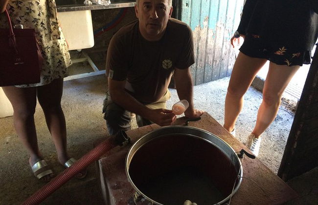 Excursão privada de um dia à Cité de Carcassonne e degustação de vinhos saindo de Toulouse - Foto 14