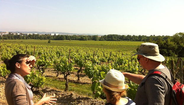 Weintour