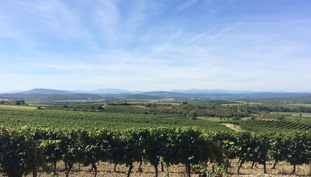 Weintour