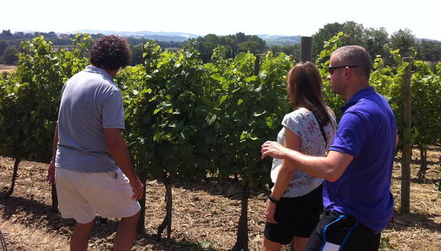 Weintour