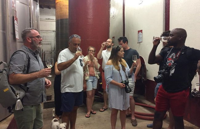 Cité de Carcassonne und private Weinprobe von Toulouse - Foto 4