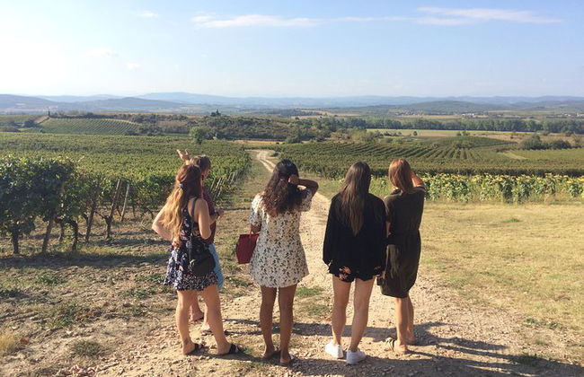 Cité de Carcassonne und private Weinprobe von Toulouse - Foto 1