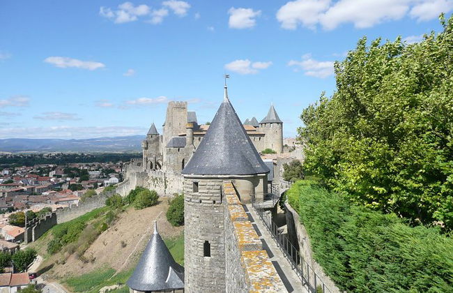 Cité de Carcassonne und private Weinprobe von Toulouse - Foto 8
