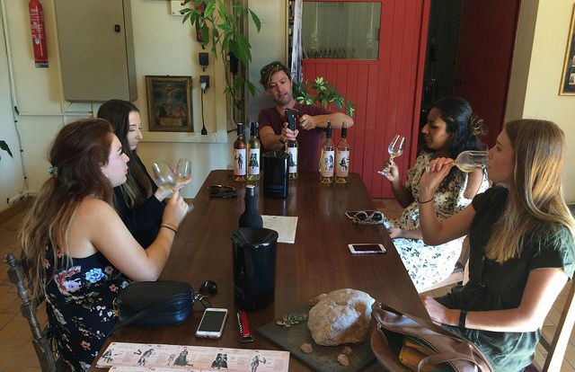 Excursão privada de um dia à Cité de Carcassonne e degustação de vinhos saindo de Toulouse - Foto 13