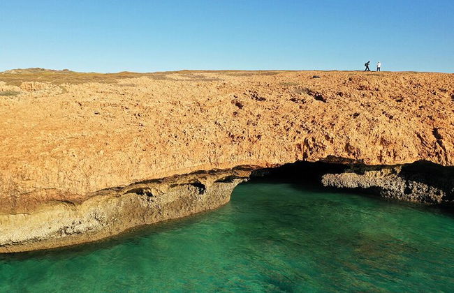 Excursión de medio día al Parque Nacional Ras Mohamed en autobús - Sharm El Sheikh - Foto 14