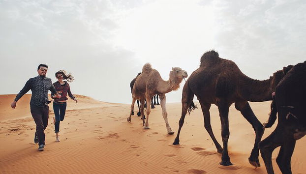 Viaggio privato di 8 giorni nel Sahara: esplora il cuore del Marocco - Foto 3