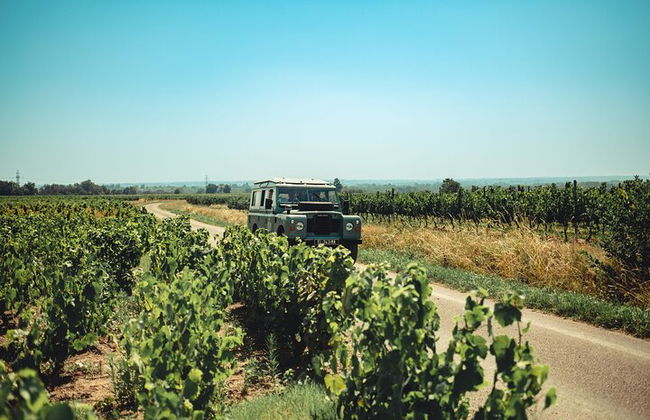 Tour enogastronomico privato di un'intera giornata da Lione nel Beaujolais - Foto 7