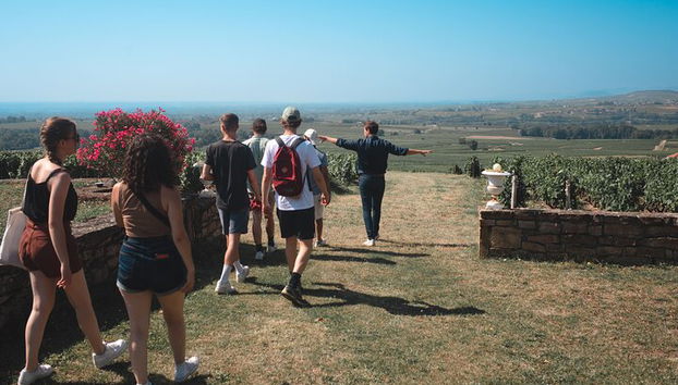 Tour enogastronomico privato di un'intera giornata da Lione nel Beaujolais - Foto 5