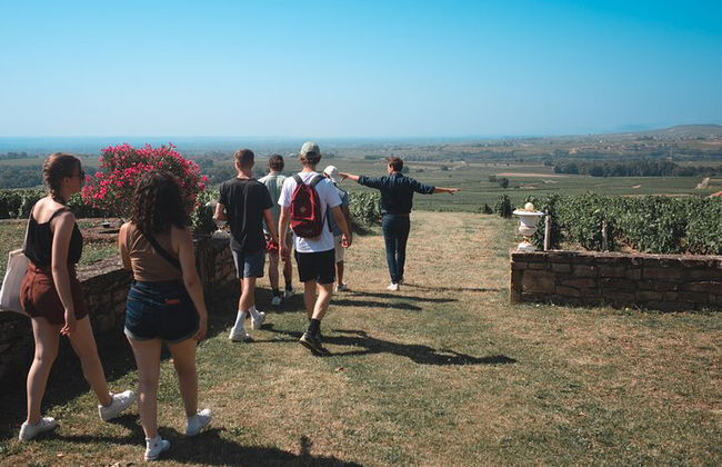 Tour enogastronomico privato di un'intera giornata da Lione nel Beaujolais - Foto 5