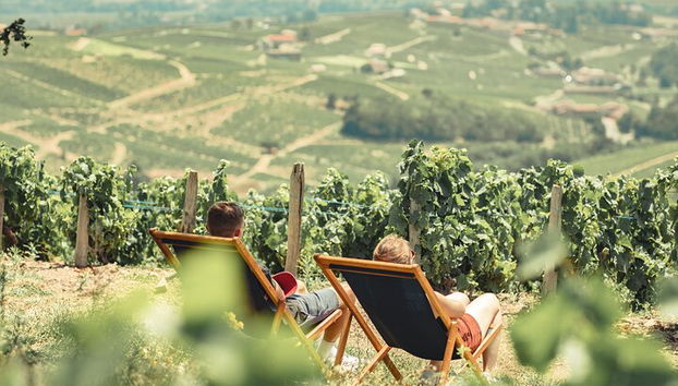 Tour enogastronomico privato di un'intera giornata da Lione nel Beaujolais - Foto 3