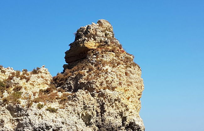 Ponta da Piedade Grotto Tour in Lagos, Algarve - Photo 35