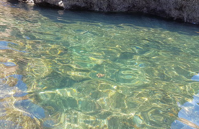 Ponta da Piedade Grotto Tour in Lagos, Algarve - Photo 26
