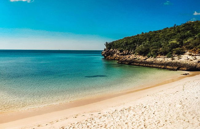 Arrábida, Setúbal y la Costa Azul - Tour privado en furgoneta - Foto 31