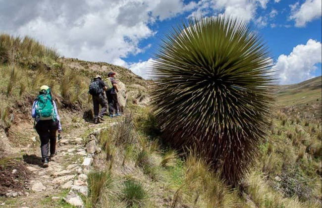 Excursión a Huiscapuquio, Corivinchos y Cañón de Shutjo - Foto 7