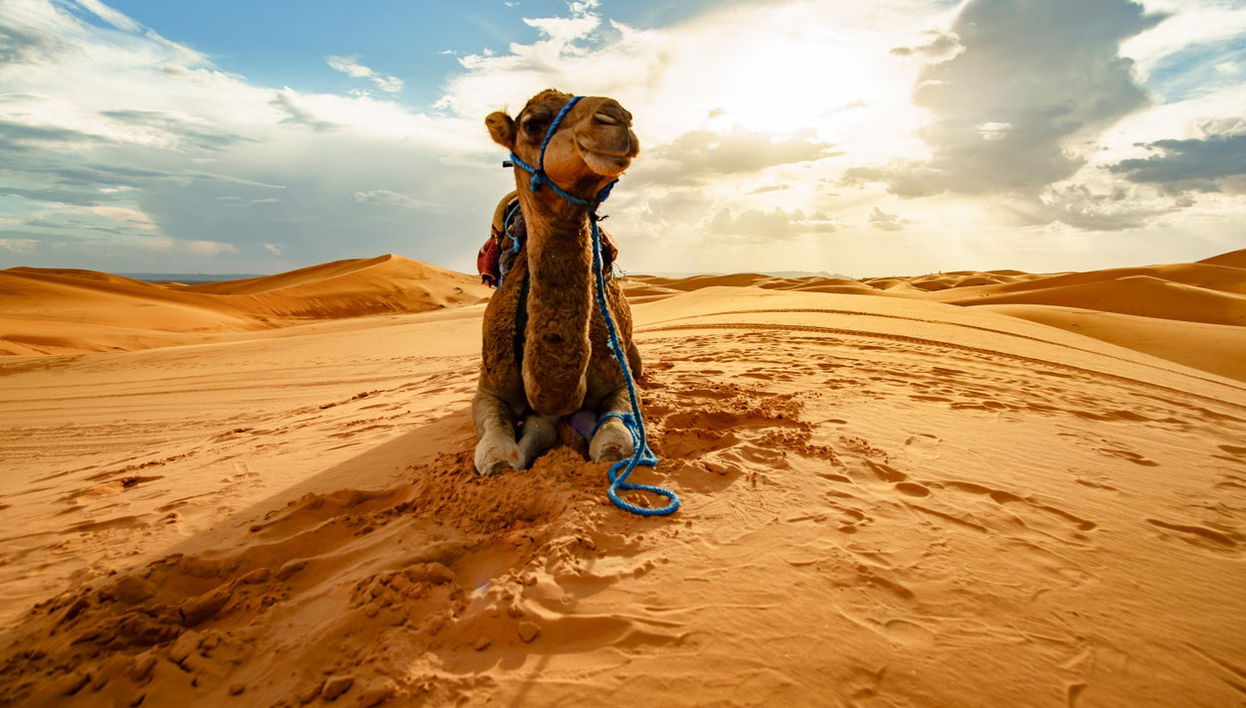 3-Day Trip: Merzouga Desert to Marrakesh - Foto 1