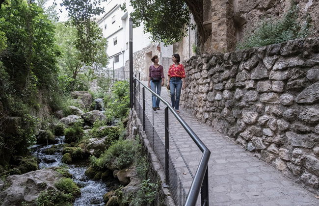 Visite guidée dans Cazorla + Dégustation d'huile d'olive - Photo 4