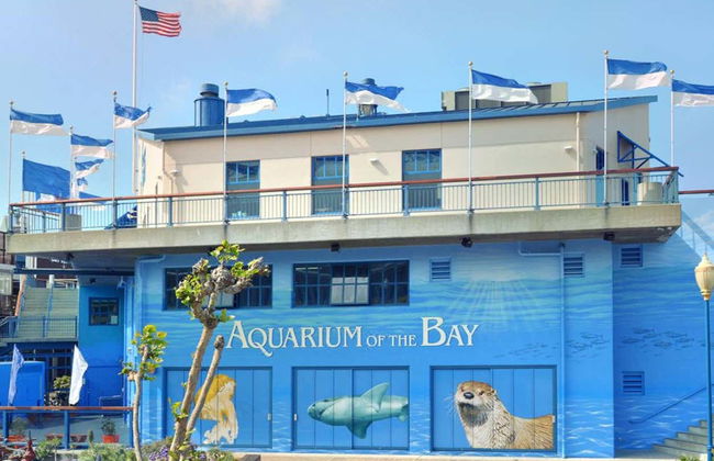 Entrada al Aquarium of the Bay - Foto 7