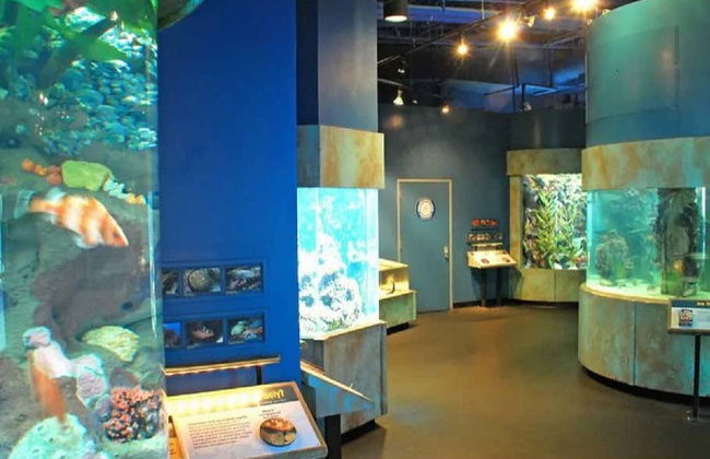 Entrada al Aquarium of the Bay - Foto 5
