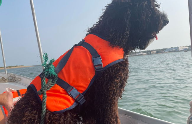 Passeio de barco pelo rio Guadiana - Foto 3