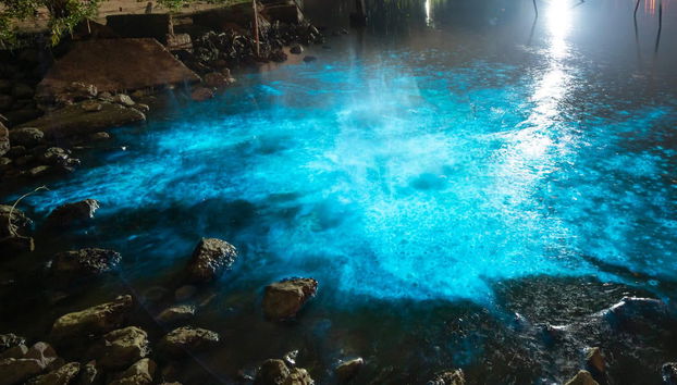 Phi Phi Islands: 2 Day Cruise - Foto 4