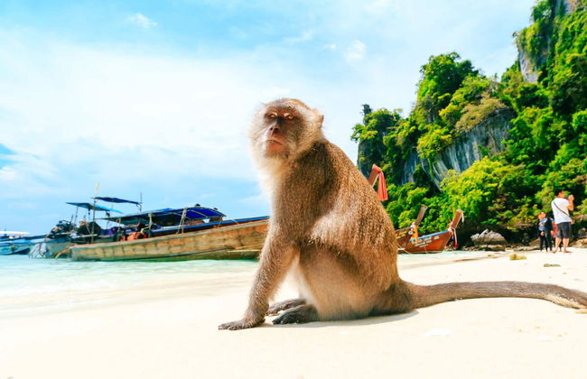 Phi Phi Islands: 2 Day Cruise - Photo 6