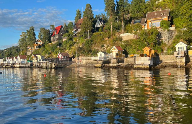 Crucero turístico por el fiordo de Oslo - Foto 5