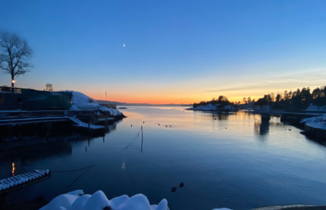 Crucero turístico por el fiordo de Oslo - Foto 4