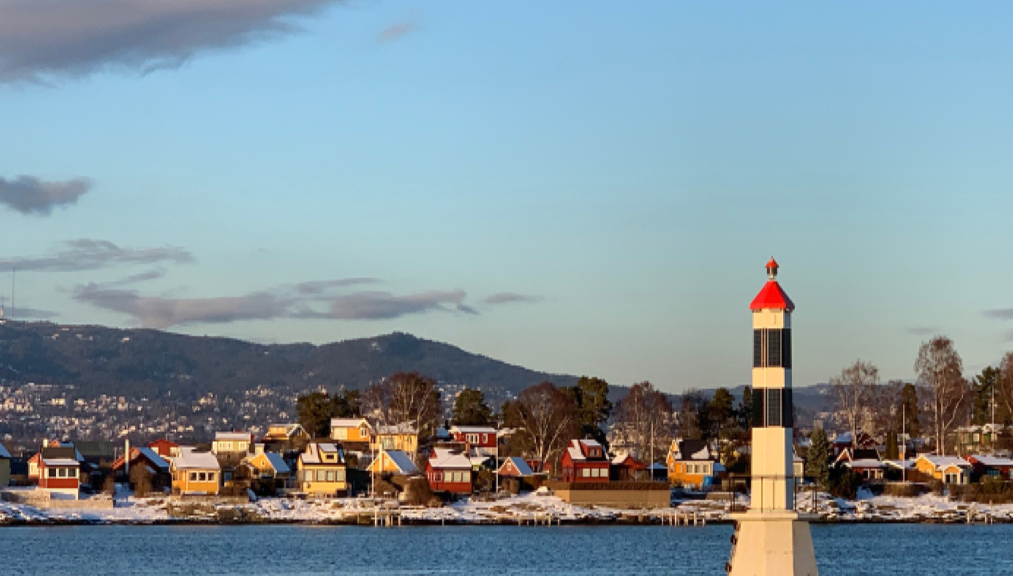 Oslofjord Sightseeing - Tour in crociera - Foto 1