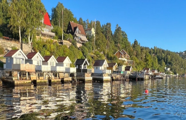 Crucero turístico por el fiordo de Oslo - Foto 2
