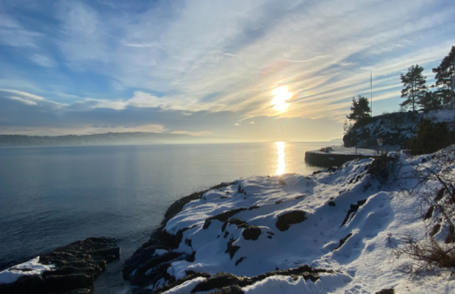 Crucero turístico por el fiordo de Oslo - Foto 3