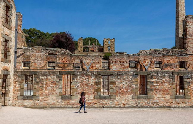 Península de Tasmania, Sitio Histórico de Port Arthur y Campo de Lavanda - Foto 6