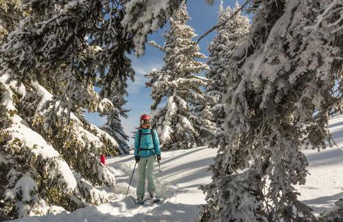 Forfait Chamonix Les Pass - Foto 2
