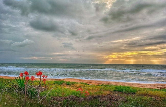 Ocean Sunrise - Foto 42