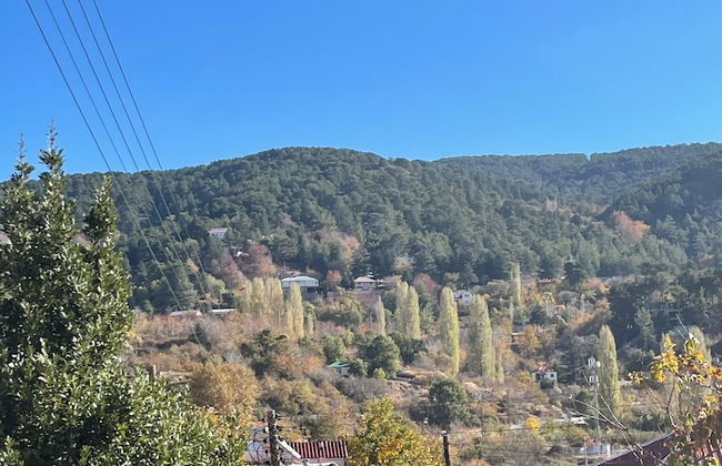 Holiday House Prodromos - Foto 29