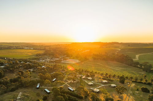 Photo 26 - CABN X Seppeltsfield Barossa