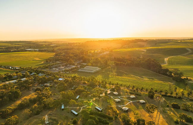 CABN X Seppeltsfield Barossa - Foto 1