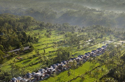 Foto 39 - Stanagiri Luxury Retreat Ubud