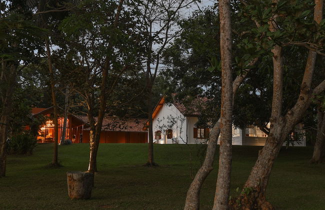 maya tangalle - Foto 32