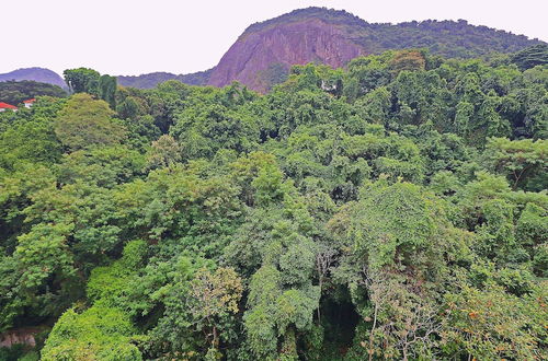 Photo 18 - U050 Apartamento com vista para natureza