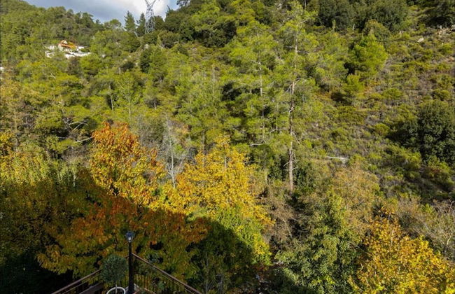 Troodos Riverside Cottage - Foto 13