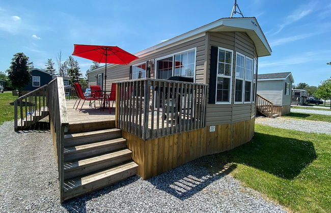 Falcon Cottages - Foto 1