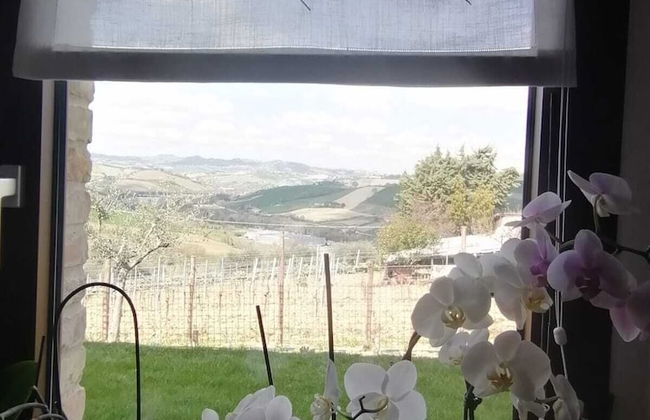 AGRITURISMO SAN NICOLINO - Foto 30